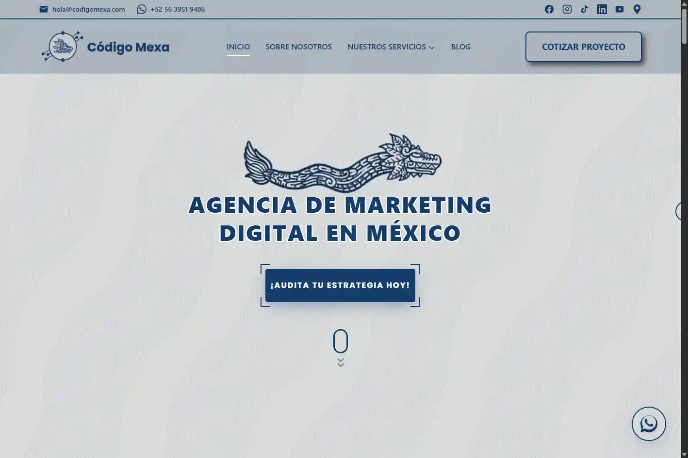 Web Design